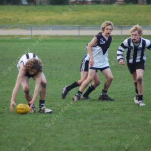 goonfooty 224246