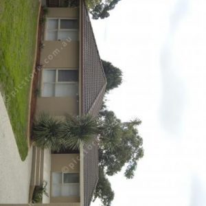 serenfront 215680
