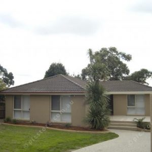 serenfront 215681