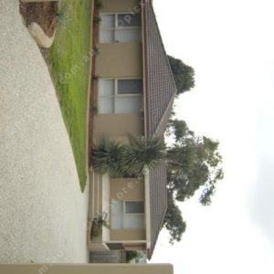 serenfront 215686