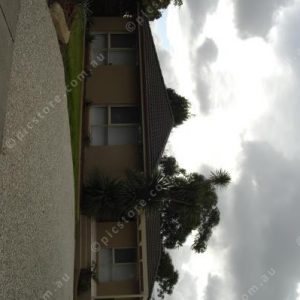 serenfront 215691