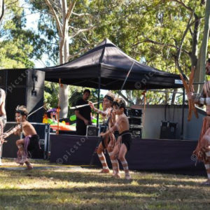 NAIDOC 2306679