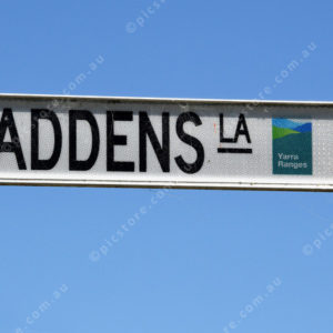 Maddens 2697585