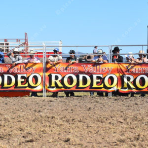 Rodeo 2714456