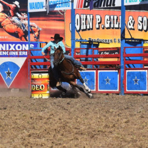 Rodeo 2714457