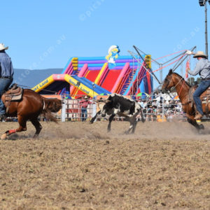 Rodeo 2714459