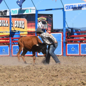 Rodeo 2714460