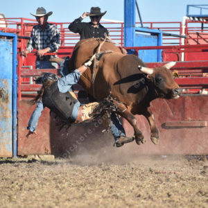 Rodeo 2714463