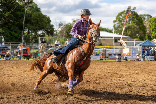 Rodeo