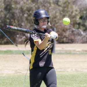 Softball12 2716117