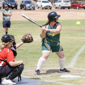 Softball13 2720862