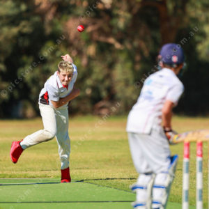 Cricket 2740664
