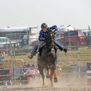 DartRodeoA 2726891