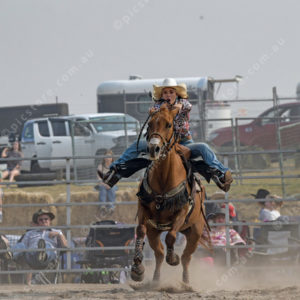DartRodeoA 2726895