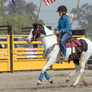 DartRodeoA 2726901