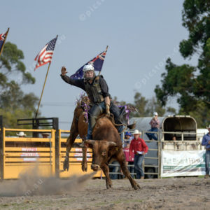 DartRodeoA 2726902