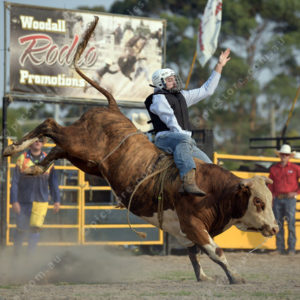 DartRodeoA 2726904