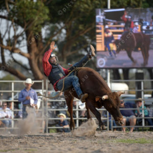 DartRodeoA 2726906