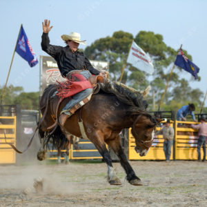 DartRodeoA 2726908