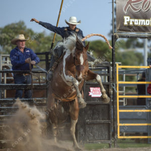 DartRodeoA 2726910