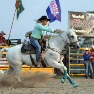 DartRodeoA 2726917