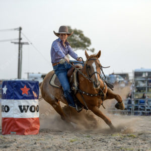 DartRodeoA 2726920