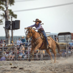 DartRodeoA 2726921