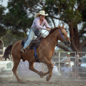 DartRodeoA 2726924