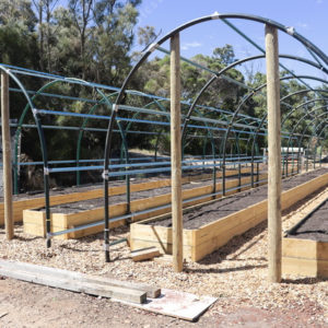 Polytunnel 2727150