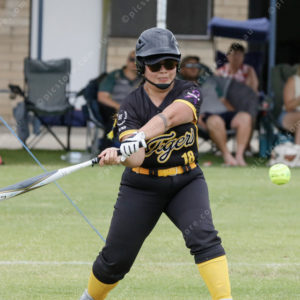 SoftballPF 2741552