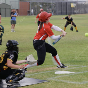 SoftballPF 2741554