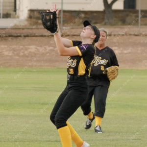 SoftballPF 2741557