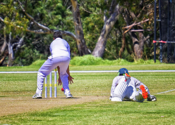gcacricket