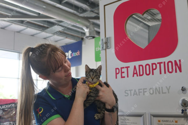petstock 2744117