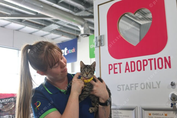 petstock 2744118