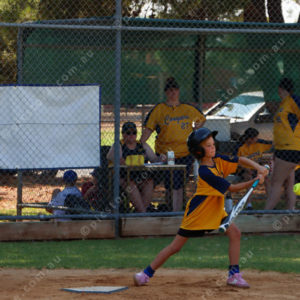 softball 2726399