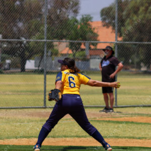 softball 2726402