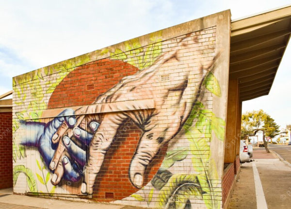 tumbymural
