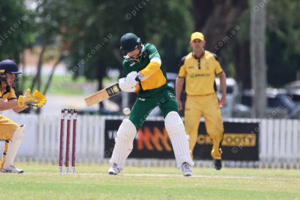 CricketSF 2763912