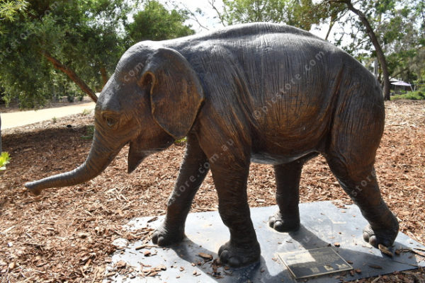Elephants 2764847
