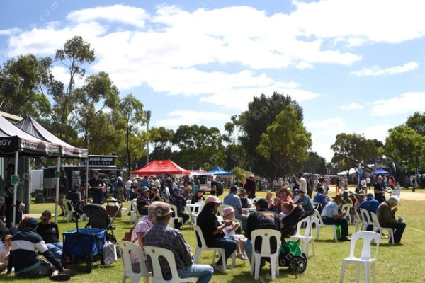 FieldDays 2763821