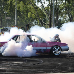 RNBurnouts 2775251