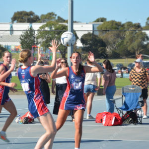 netball 2779998