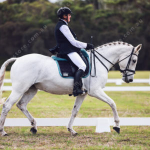 Dressage 2795644