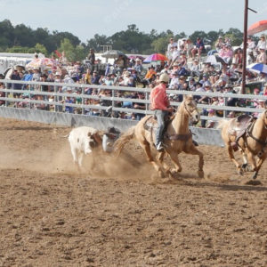 EITCRodeo 2791174