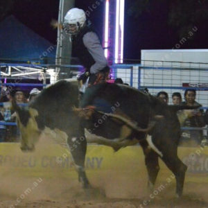 KroyRodeo 2799540
