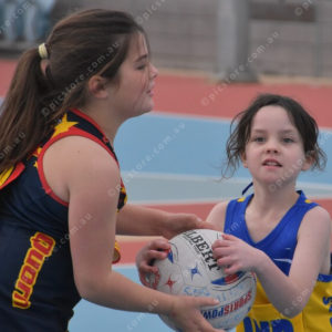 Netball1 2793920