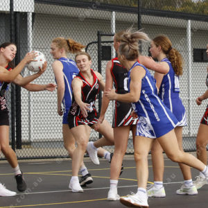 Netball 2793487