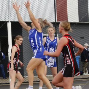 Netball 2793488