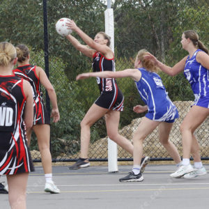 Netball 2793490